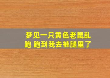 梦见一只黄色老鼠乱跑 跑到我去裤腿里了